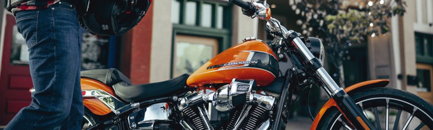 2023 Harley-Davidson® Motorcycle for sale in Georgian Bay Harley-Davidson®, Owen Sound, Ontario
